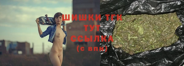 амф Саяногорск