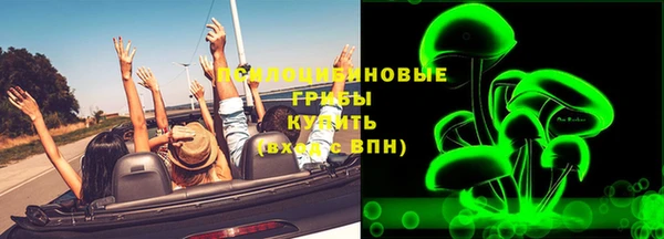 амф Саяногорск