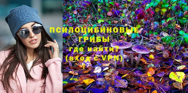 амф Саяногорск