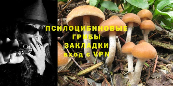 стафф Сафоново