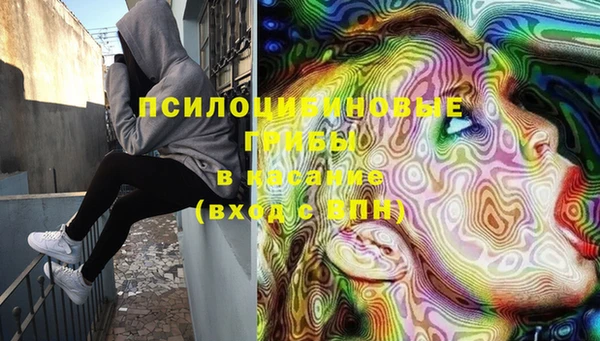 прущая мука Сатка