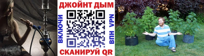 Бошки Шишки индика  магазин  наркотиков  Абаза 